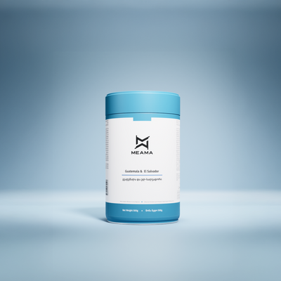 გვატემალა და ელ-სალვადორი