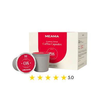 ბრაზილია 08