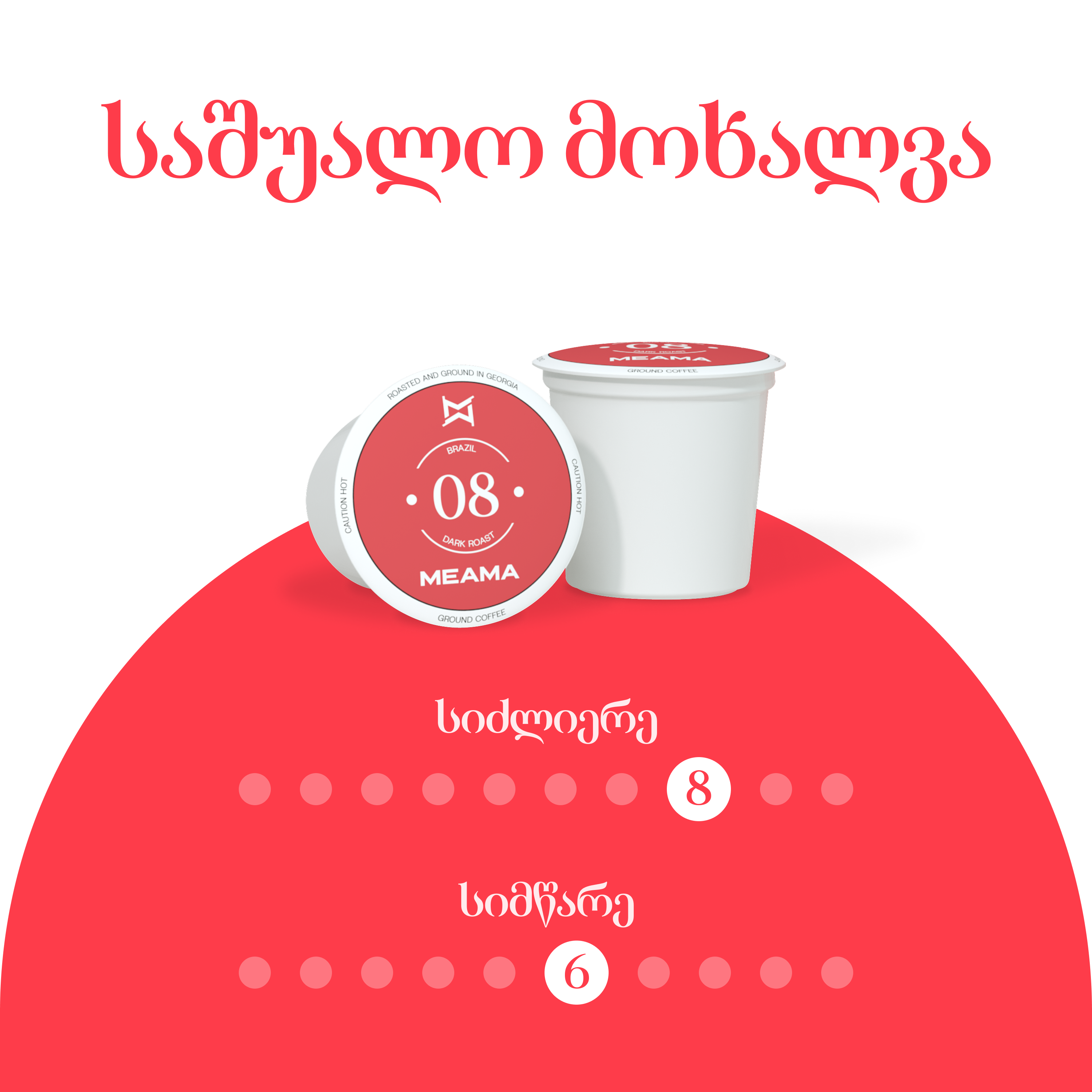 ბრაზილია 08