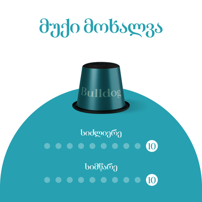 ბულდოგი