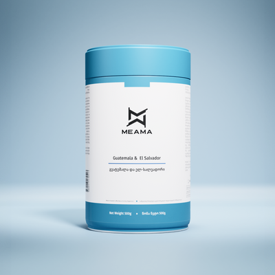 გვატემალა და ელ-სალვადორი