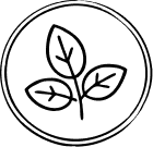 ლემონგრასი