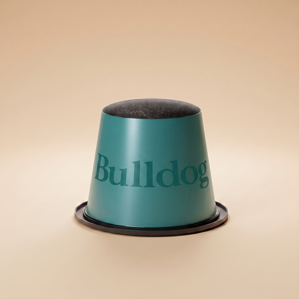Bulldog